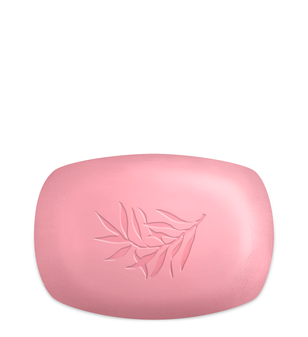 Olivenöl Hand- & Duschseife Rosé