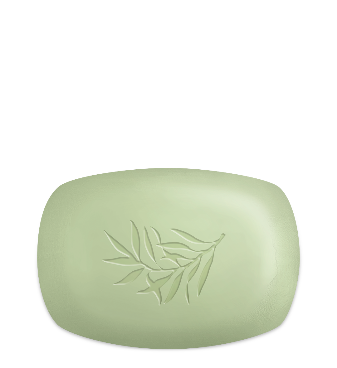 Olivenöl Hand-& Duschseife Olive